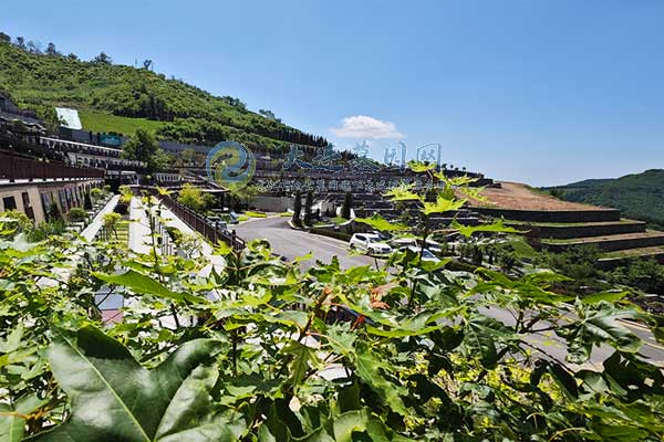 大连墓园性价比排行，天台阁公墓的表现如何？