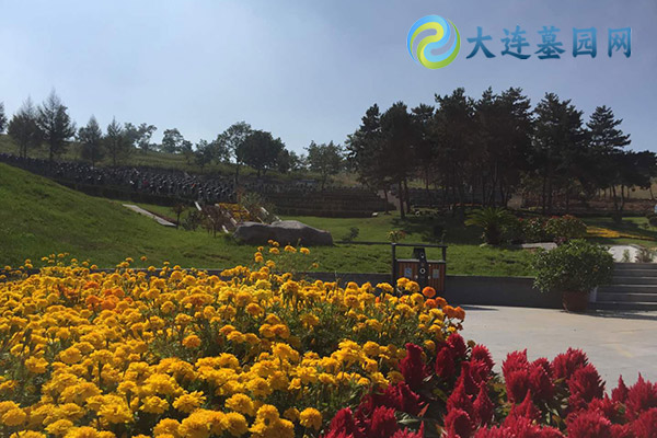 购买大连墓地时需要注意哪些法律法规？